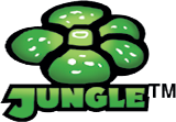 Jungle 1999